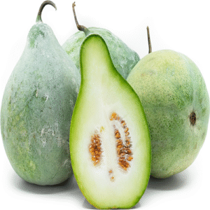 Fresh Ash Gourd