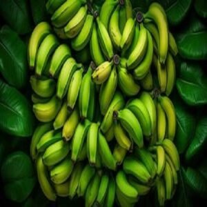 Fresh Green Banana