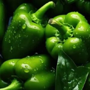 Fresh Green Capsicum