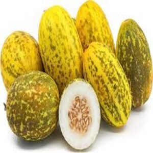 Fresh Sambar Melon