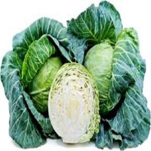 Fresh Cabbage
