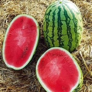 Fresh Watermelon